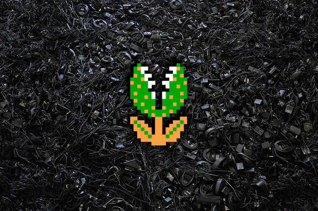 ecotaxe